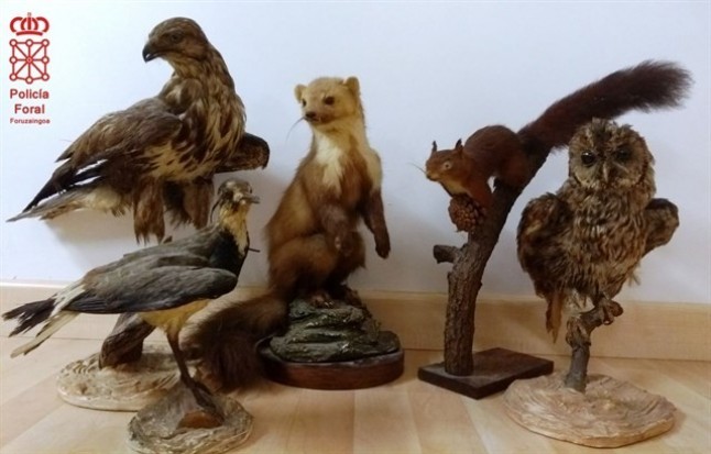 Un sujeto acusado de comerciar en internet con especies protegidas