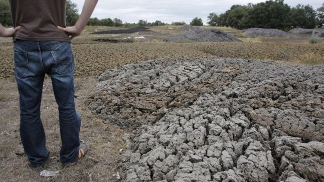Medio Ambiente confirma que la nueva normativa sobre purines es inaplazable
