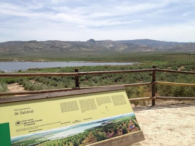 El consejo de Medio Ambiente andaluz aprueba incluir cuatro lagunas en el inventario de humedales