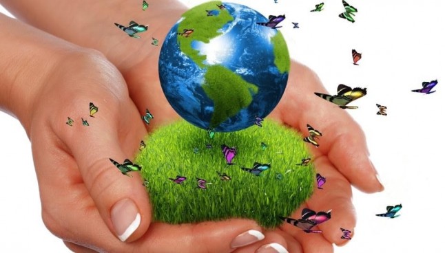 Extremadura quiere potenciar iniciativas empresariales sobre economía verde y circular