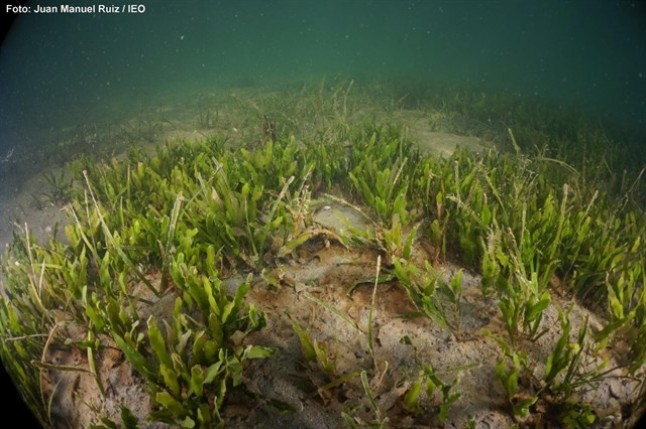 El Mar Menor NO mejora