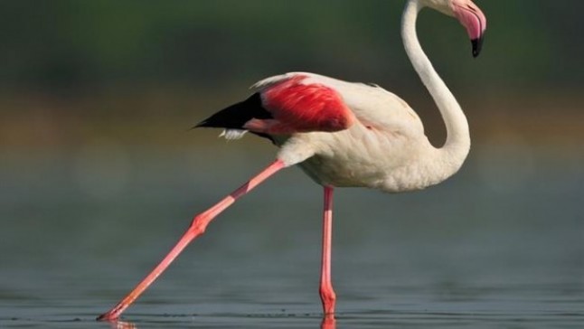 El Defensor del Pueblo de Baleares pide al Gobierno ‘prudencia’ antes de eximir a proyectos de evaluación de impacto ambiental