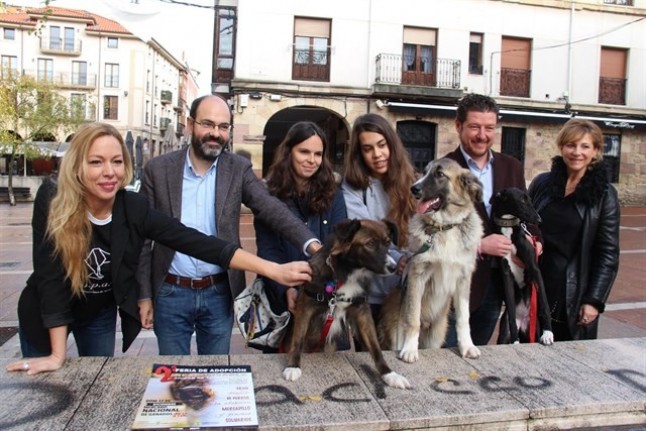 Unos 200 perros y gatos desfilarán en la II Feria de Adopción de Torrelavega