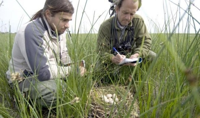 Es posible compatibilizar el desarrollo agrícola y la sostenibilidad en Doñana