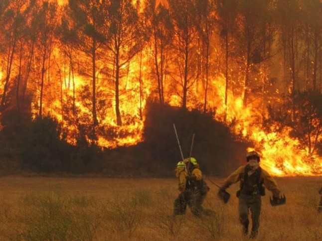 Lecciones que NO hay que olvidar de los incendios forestales