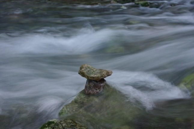 Brotan por primera vez este año ses Fonts Ufanes