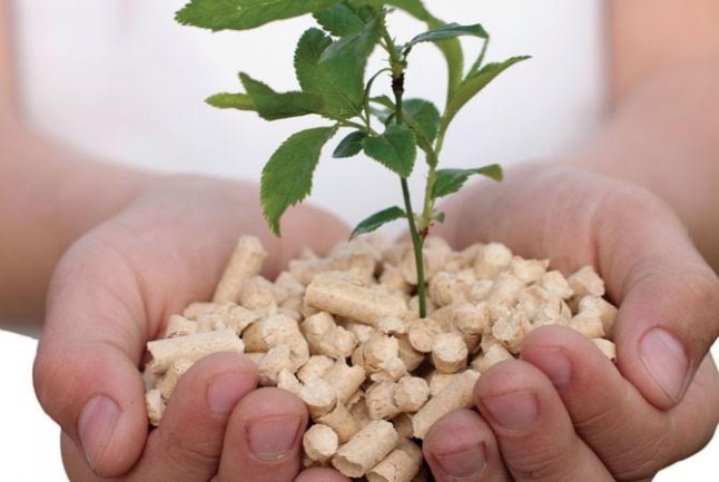 Construirán una planta de biomasa en Guardo (Palencia)