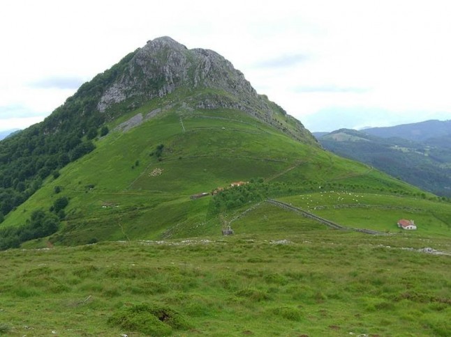 Desestimada la petición de cese de la directora de Montes de Gipuzkoa