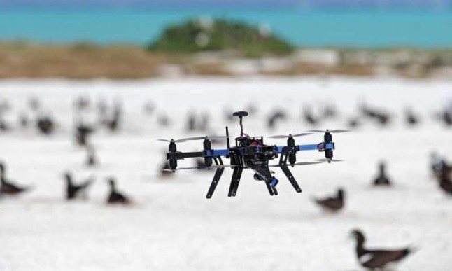 Andalucía realizara el seguimiento de especies amenazadas con drones