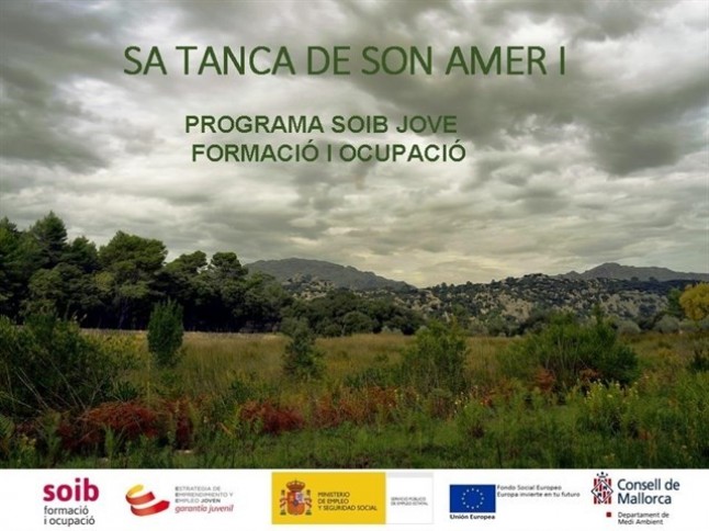 Baleares contratará en Medio Ambiente a diez jóvenes desempleados como trabajadores agroforestales