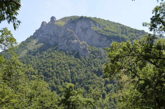 Cantabria continua buscando al oso herido de bala en Liébana