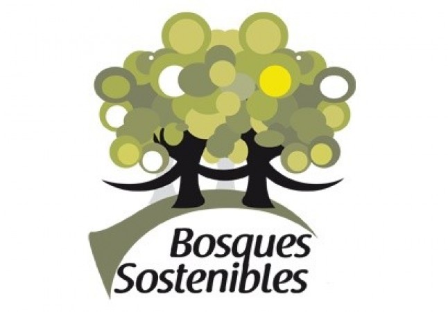 España vive el tercer peor año de la década en incendios forestales