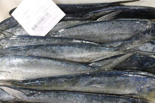 Los ciudadanos podrán opinar hasta el 13 de febrero sobre los decretos relativos a reservas marinas en las Pitiusas