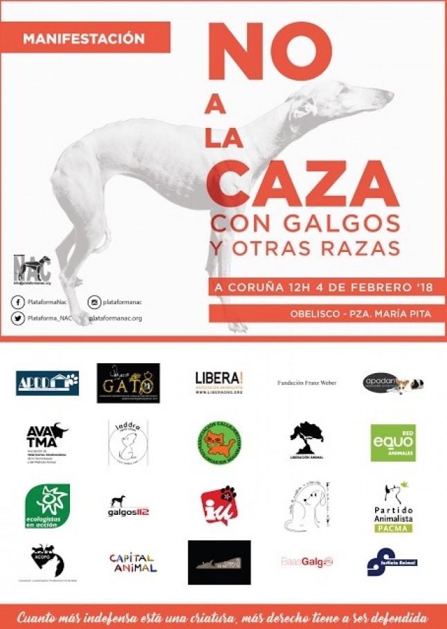 Clamor contra la CAZA con GALGOS en tres ciudades