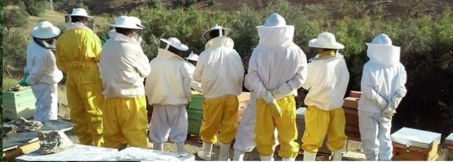 El Aula Bee Garden consigue realizar un módulo de acuaponía gracias a un proyecto de crowdfunding