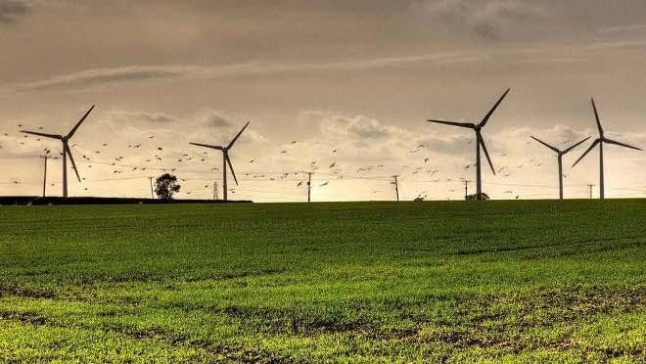 Novena edición del máster en energía eólica con la colaboración de AEE