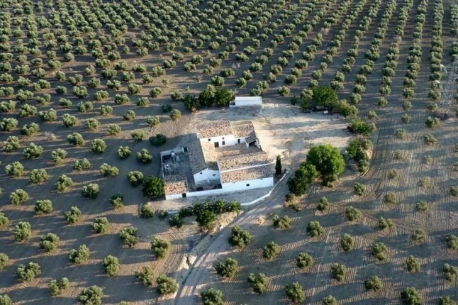 Paisaje del Olivar andaluz como Patrimonio Mundial