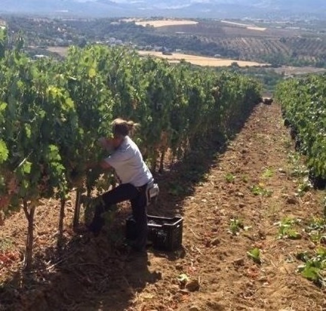 UPA Andalucía apuesta por potenciar modelos sostenibles y la planificación hidrológica para combatir el cambio climático