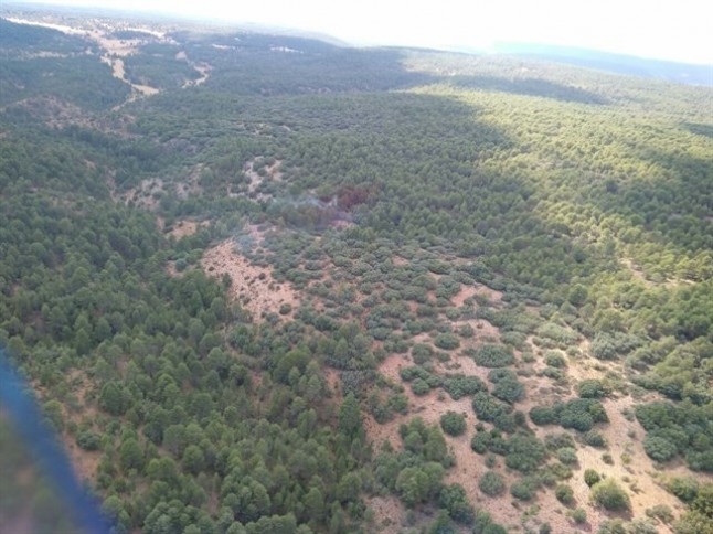 Las ayudas a montes de socios reciben 28 solicitudes entre Guadalajara y Cuenca