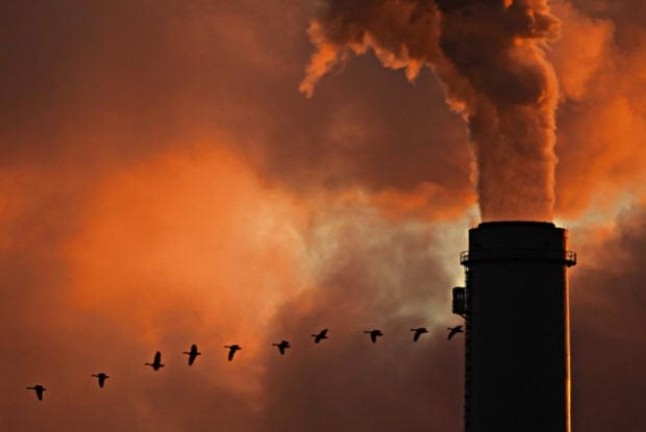 Asamblea de las Naciones Unidas está preparando un Plan para un “planeta sin contaminación”