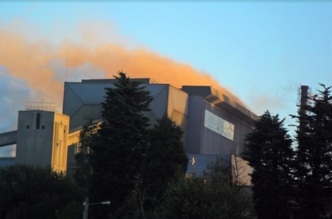 En Asturias hoy se entrega la Bullada Purpurina y no es ninguna broma