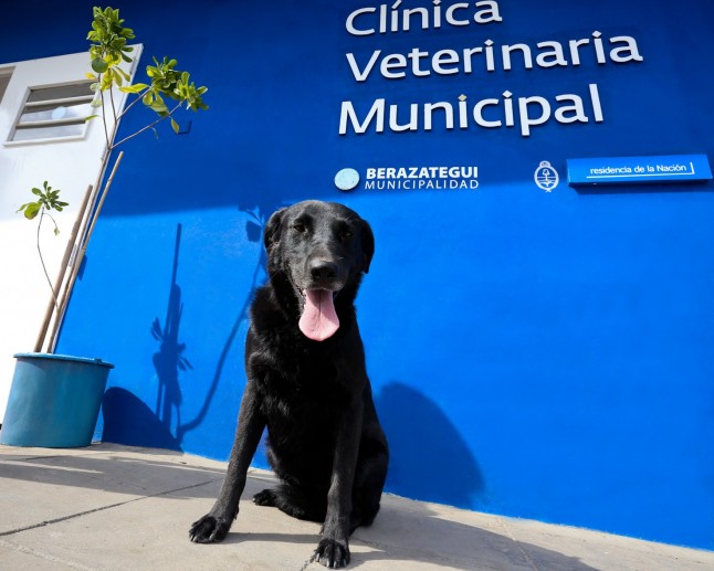 Argentina: Berazategui cuenta con la primera clínica veterinaria municipal