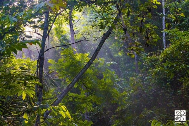 MiAMBIENTE capitaliza Fideicomiso de Agua