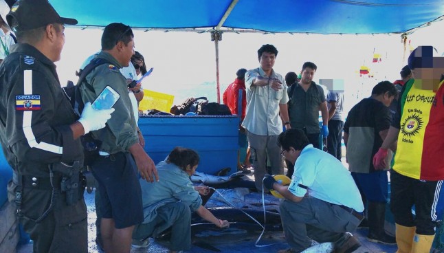 Bote pesquero de Manta y ocho fibras fueron aprehendidas dentro de la Reserva Marina de Galápagos