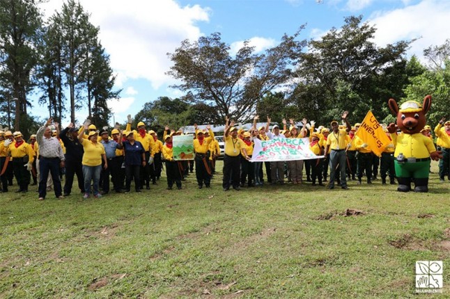 MiAMBIENTE lanza campaña de prevención de incendios en masas vegetales 2018 y encuentro de brigadas de Bomberos Forestales Voluntarios