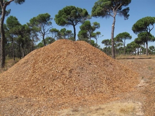 Consejería de Agricultura de Castilla – La Mancha cambiará calderas de gasoil por biomasa en varios de sus edificios