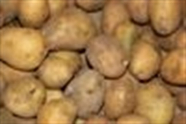 Asturias. Podemos denuncia la inoperancia del Principado para la detección de plagas y especies invasoras