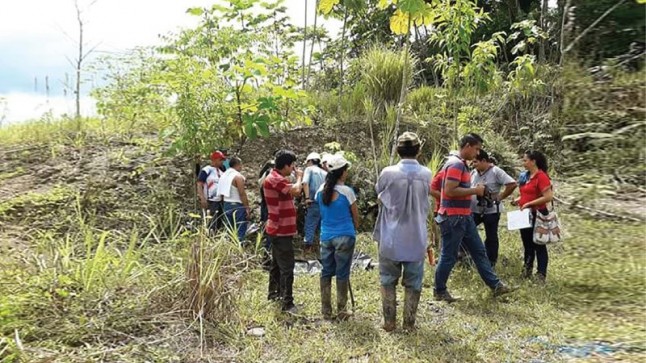 Técnicos del MAE inspeccionan zonas afectadas por derrame de hidrocarburo en Orellana