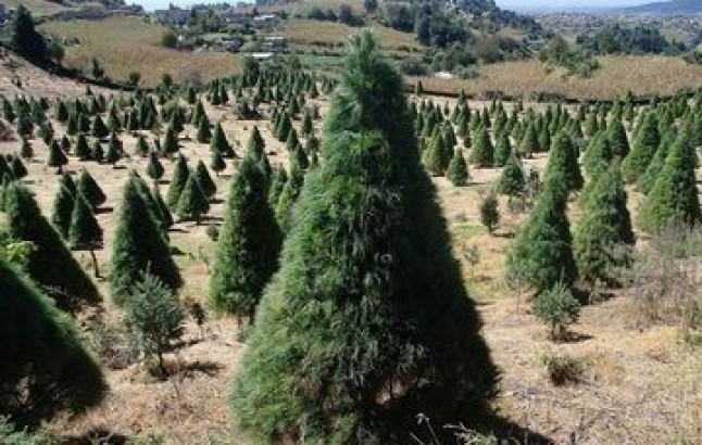 2017: logros ambientales que nos comprometen con el futuro