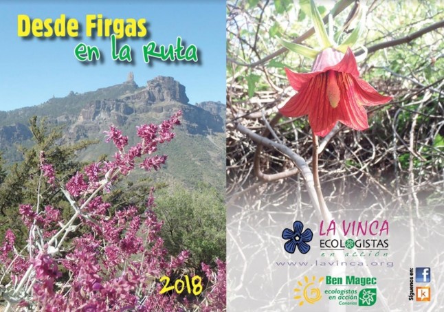 Programa de Senderismo “DESDE FIRGAS EN LA RUTA 2018”
