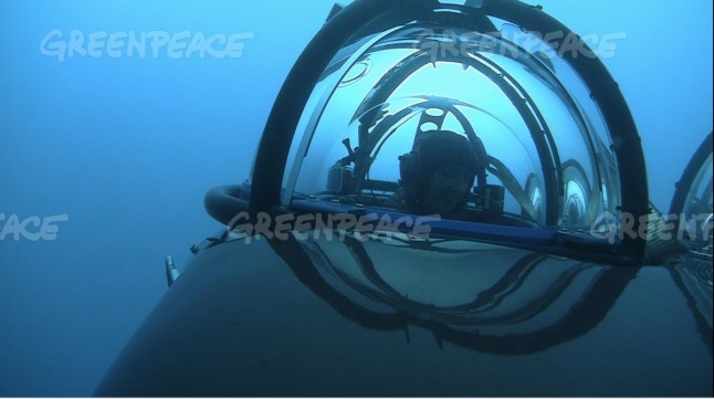 Las soprendentes imágenes del océano Antártico inexplorado