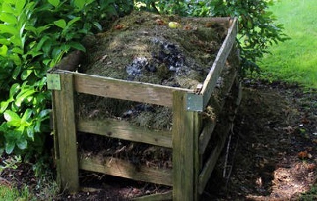 Composta casera: mejora plantas y suelos a costos económicos con materiales accesibles