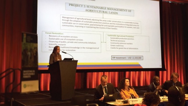 Plan de Inversión Forestal de Ecuador es aprobado a nivel internacional