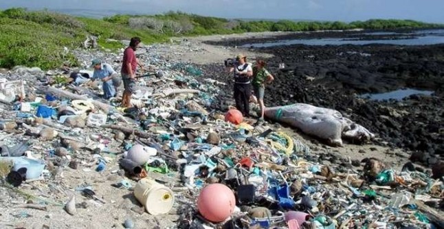 Argentina: Alertan por la alta contaminación en las playas bonaerenses
