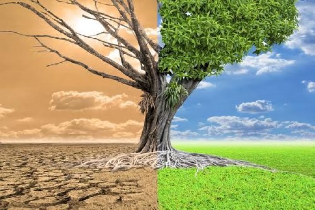 Las grandes empresas españolas marcan el camino para combatir el cambio climático