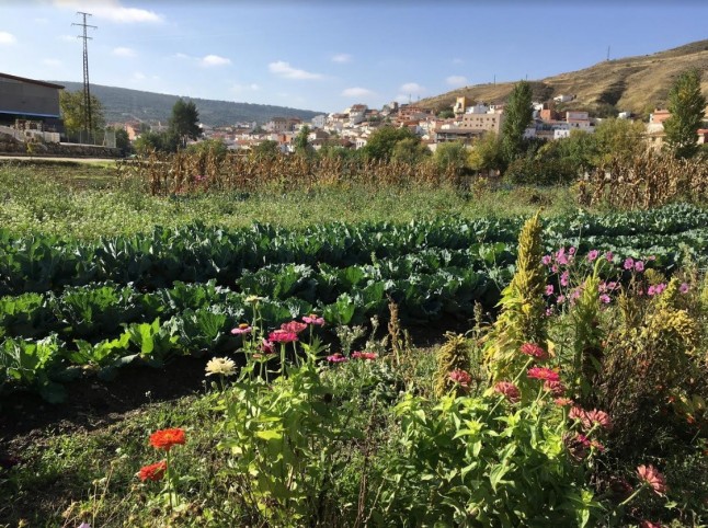 Reflexiones y actividades sobre el agrocompostaje