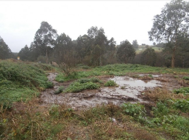Los purines van seguir contaminandonos gracias al coladero que supone el Principado de Asturias