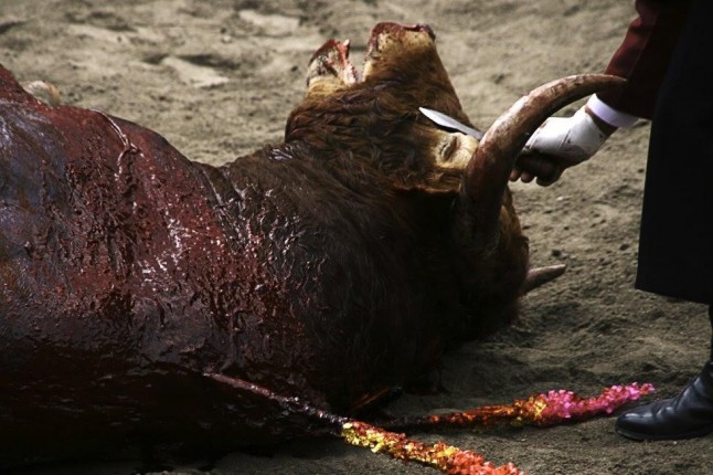 Cómo proteger a los niños