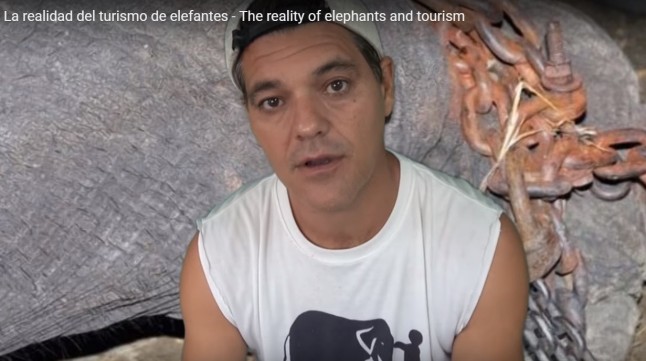 Frank Cuesta pide viralizar su video del sufrimiento de los elefantes en Tailandia