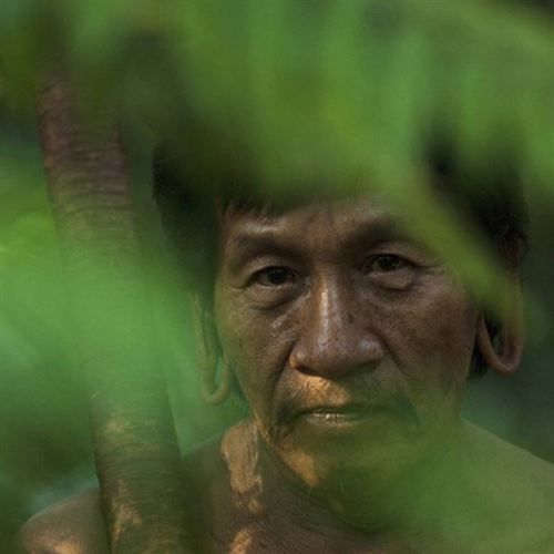 ONG piden a la UE asumir su deuda ecológica para proteger la Amazonía