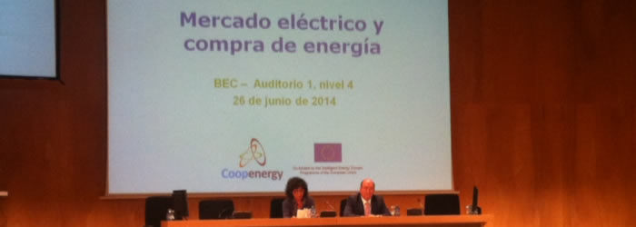 Euskadi. Jornada de análisis del mercado eléctrico para minimizar el impacto de la reforma en las empresas