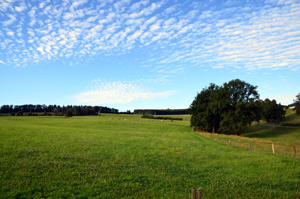 Sierra del Guadarrama apuesta por el turismo sostenible