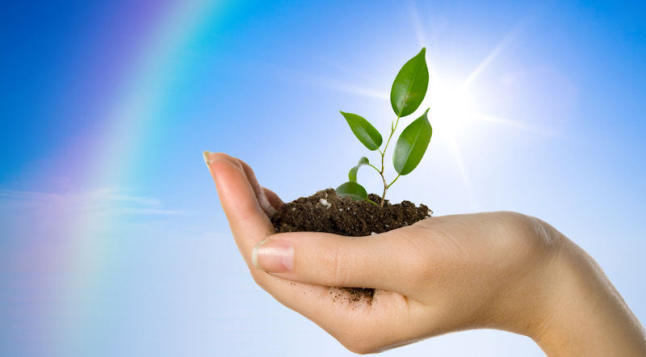 Hay que localizar las subvenciones que dañan el medio ambiente