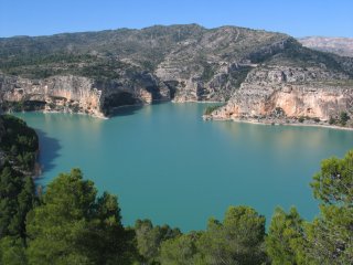 Más de 60.000 aves acuáticas en los humedales de Huelva