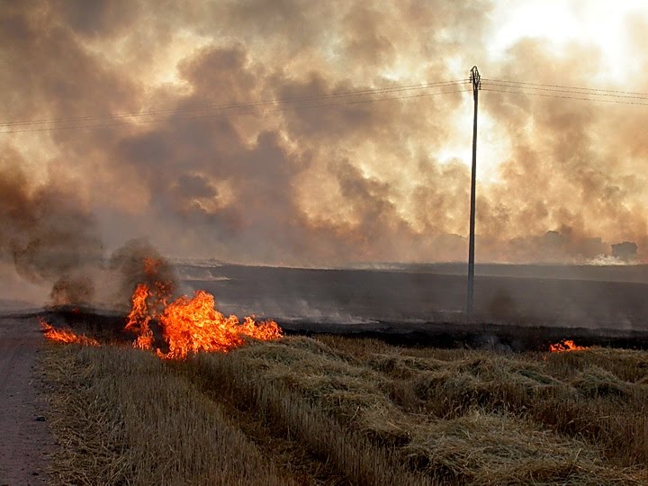 La Diputación de Gipuzkoa y la Fundación Sueskola ponen en marcha una iniciativa para prevenir incendios forestales