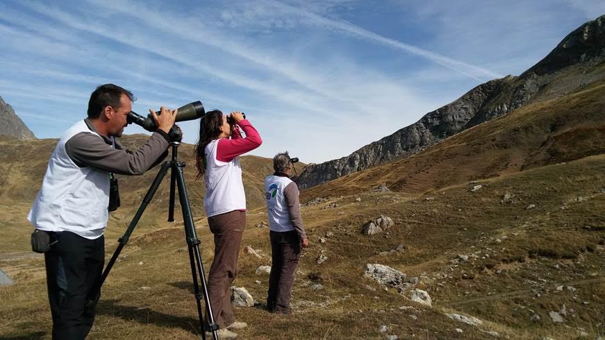 El Gobierno de Navarra participa en un proyecto transfronterizo de seguimiento de aves migratorias